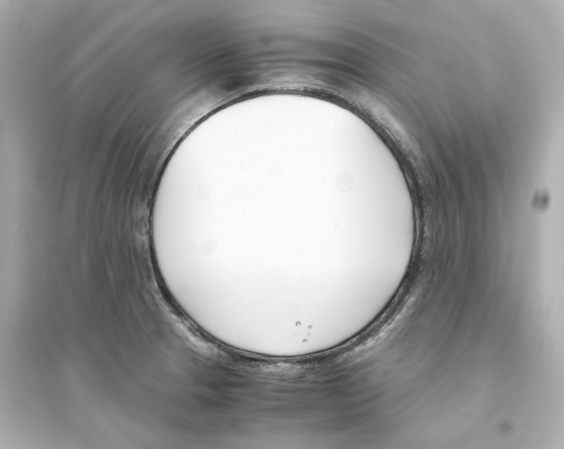 X0000093571329200711121028