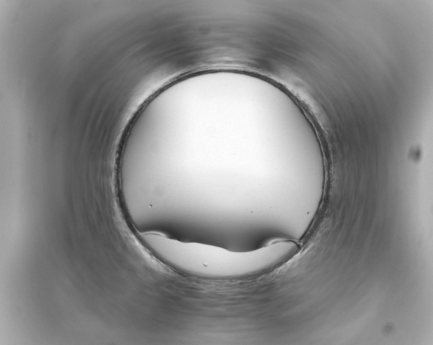 X0000093571333200711121028