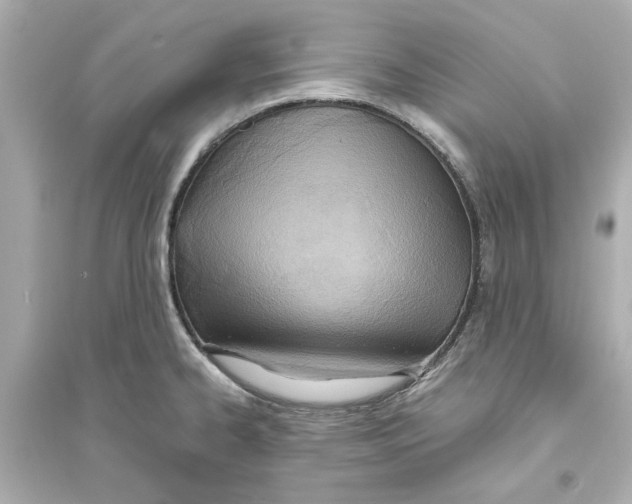 X0000093571334200711121028