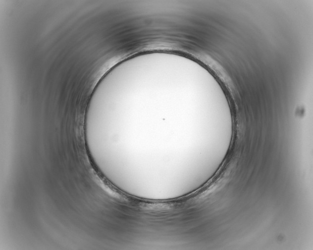 X0000093571337200711121028