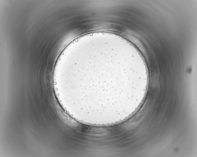 X0000093571338200711121028