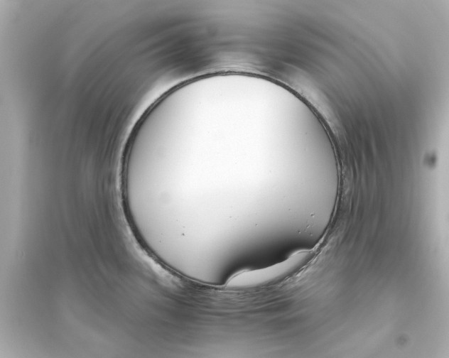 X0000093571339200711121028