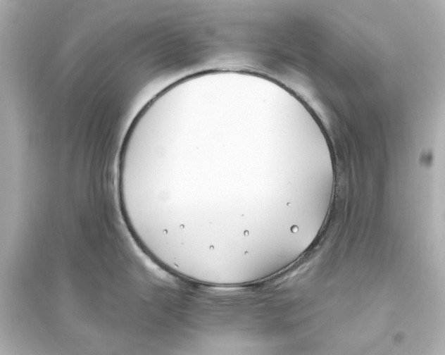 X0000093571343200711121028