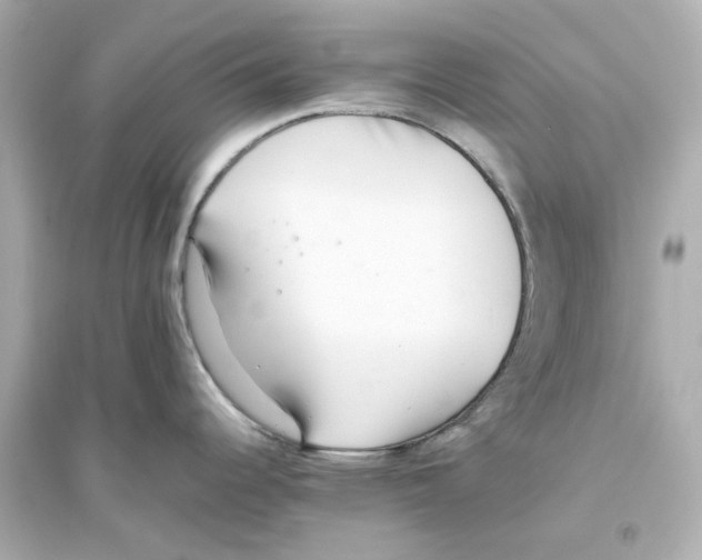 X0000093571344200711121028