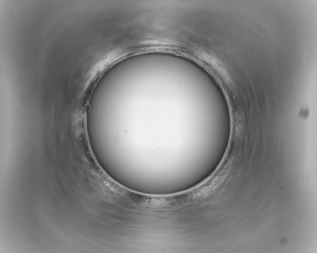 X0000093571357200711121027