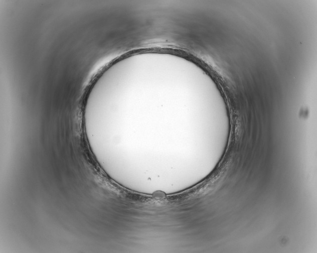 X0000093571358200711121027