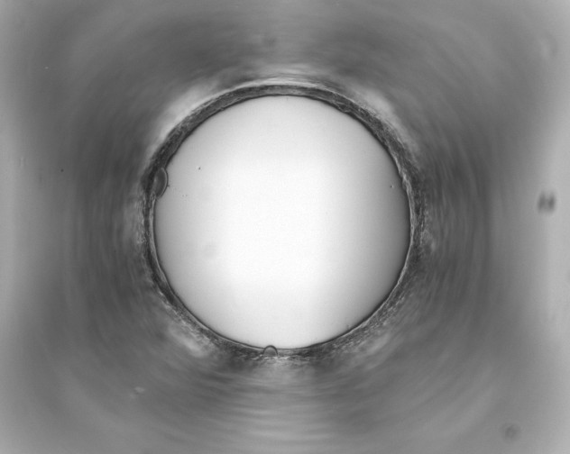 X0000093571360200711121027