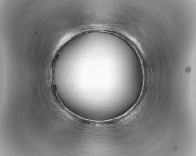 X0000093571365200711121027