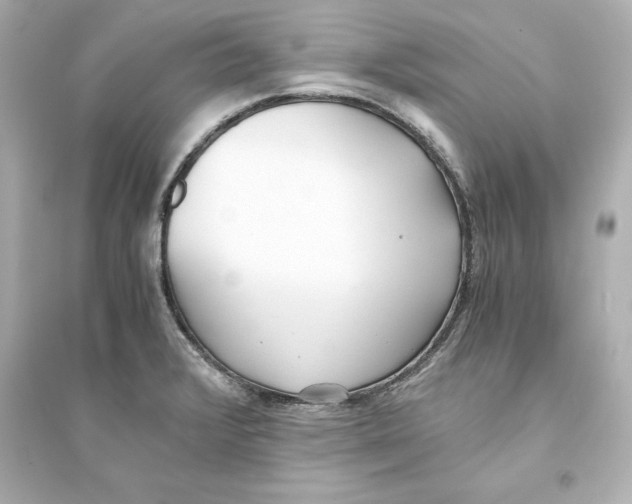X0000093571376200711121027