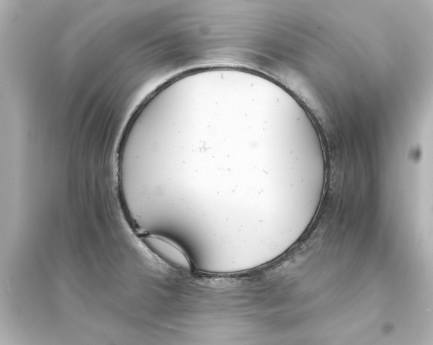 X0000093571380200711121027