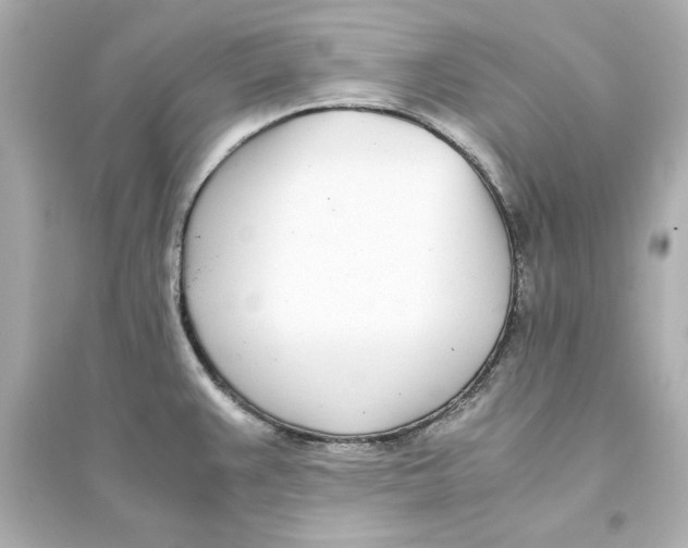 X0000093571383200711121027
