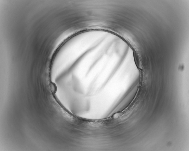 X0000093571384200711121027