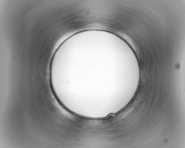 X0000093571387200711121027