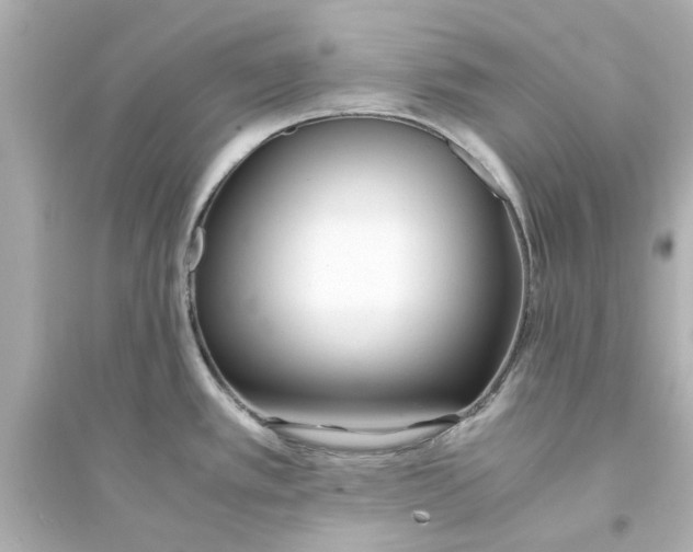 X0000093571389200711121027