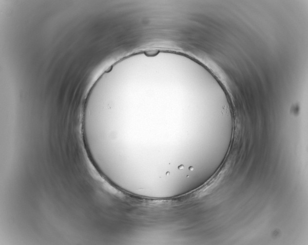 X0000093571390200711121027