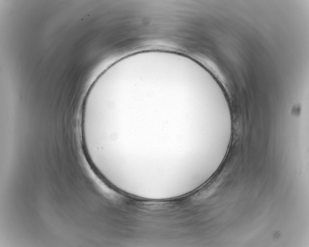 X0000093571391200711121027