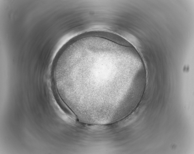 X0000093571392200711121027