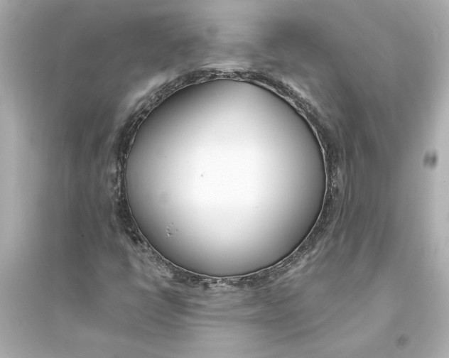 X0000093571398200711121026