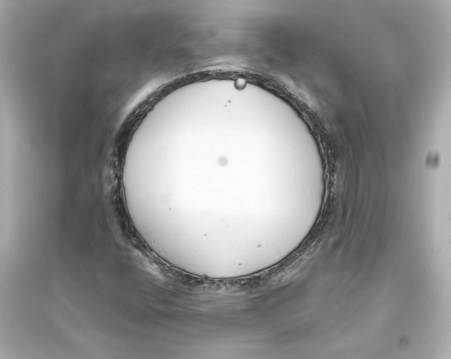 X0000093571400200711121026