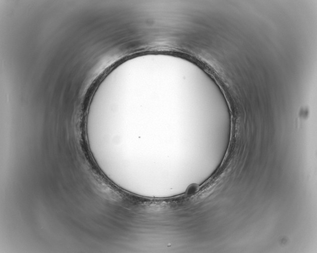 X0000093571410200711121026