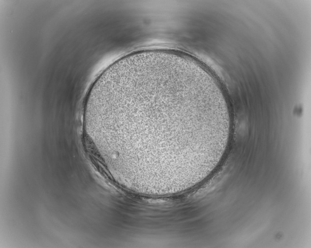 X0000093571413200711121026