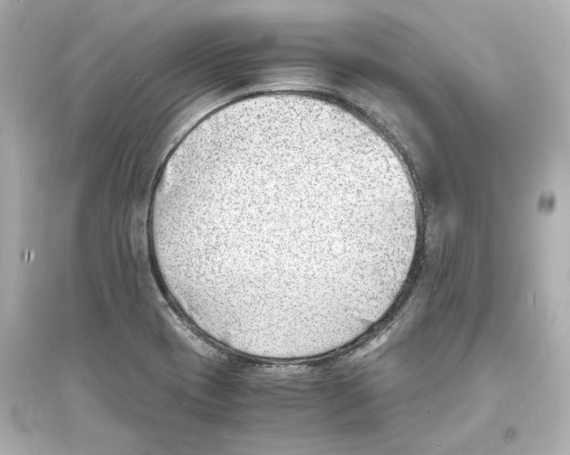 X0000093571417200711121026