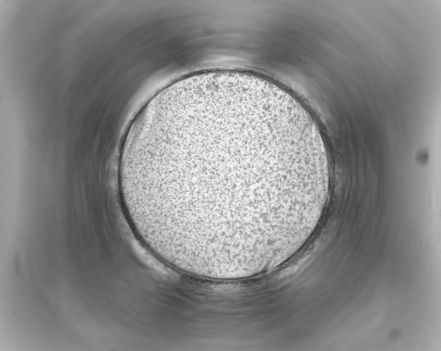 X0000093571421200711121026