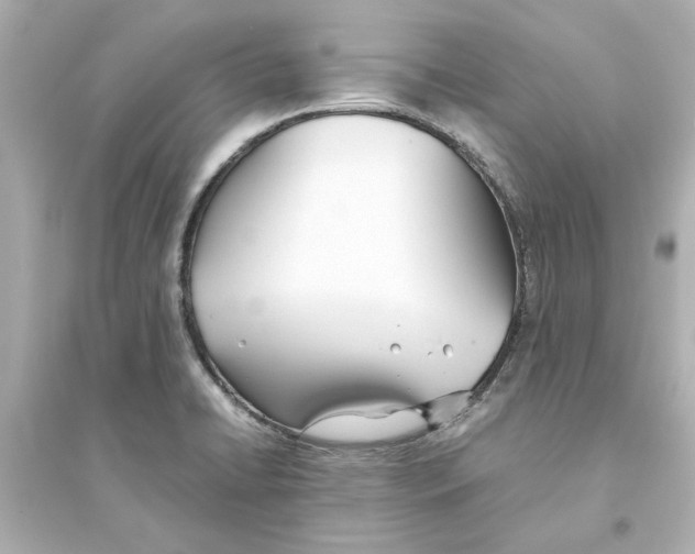 X0000093571422200711121026