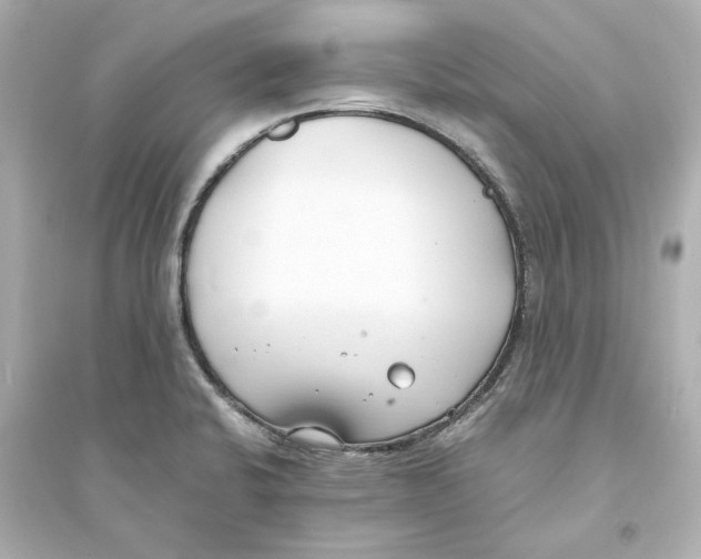 X0000093571424200711121026