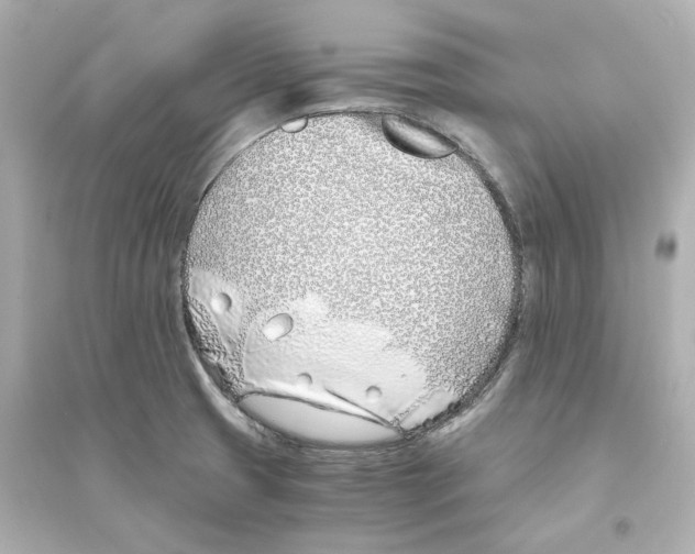 X0000093571425200711121026