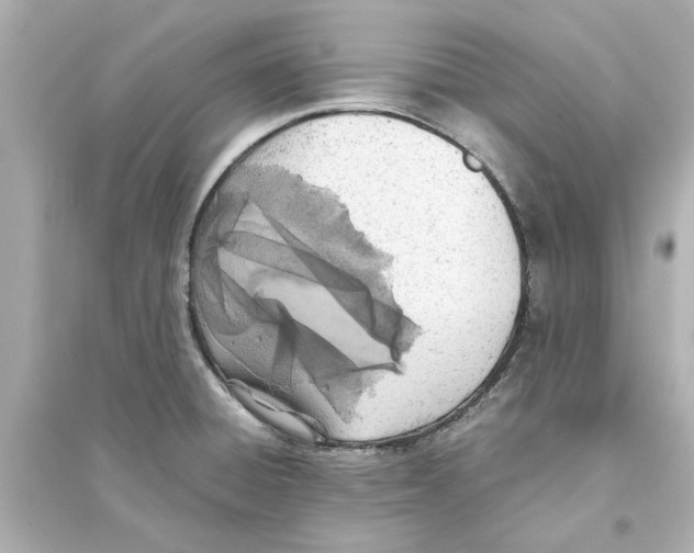 X0000093571428200711121026