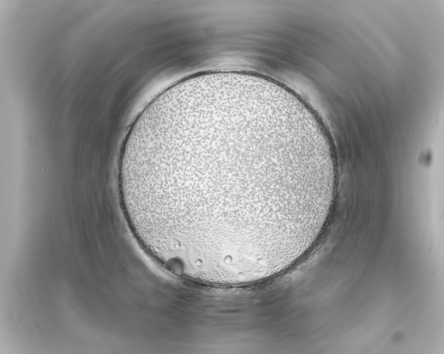 X0000093571429200711121027