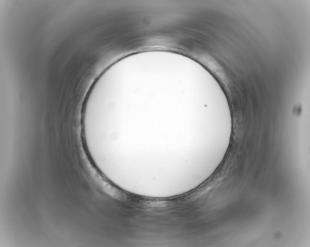 X0000093571431200711121027