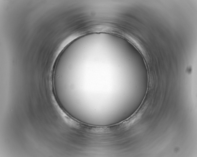 X0000093571434200711121027