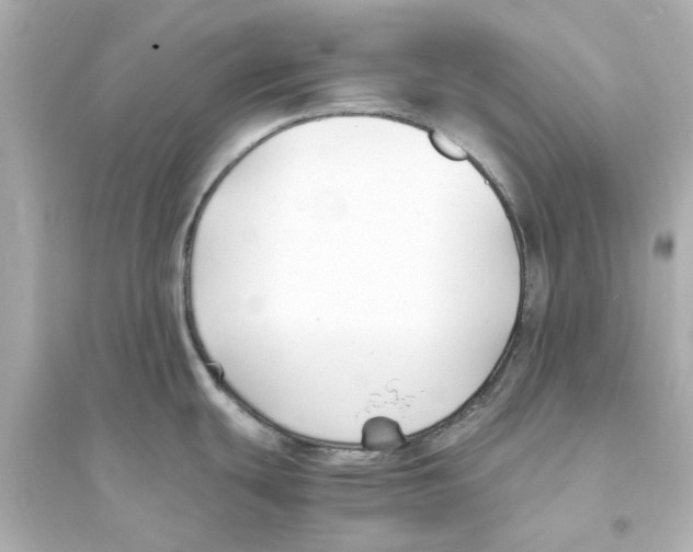 X0000093571439200711121027