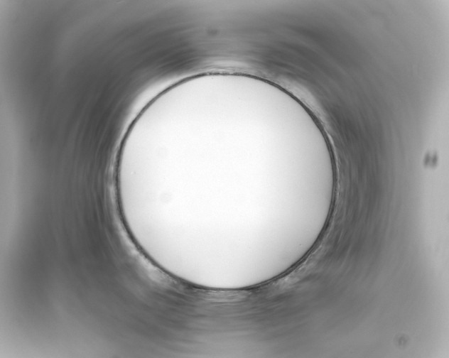 X0000093571440200711121027