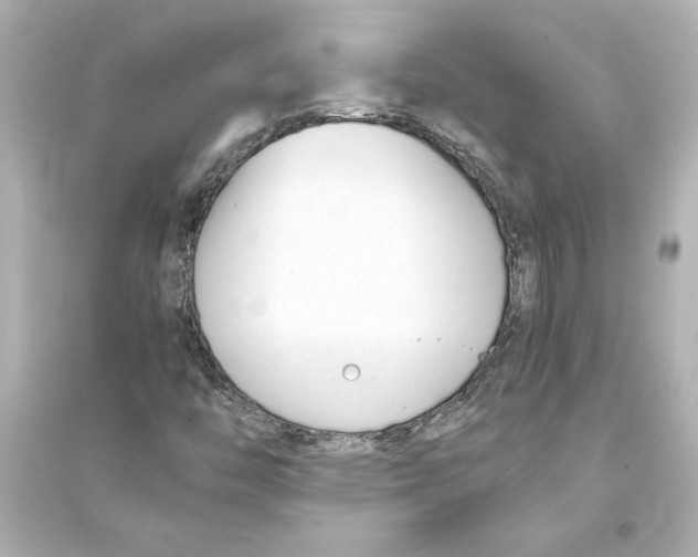 X0000093571446200711121026