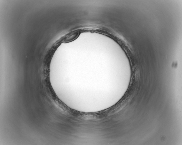 X0000093571448200711121026