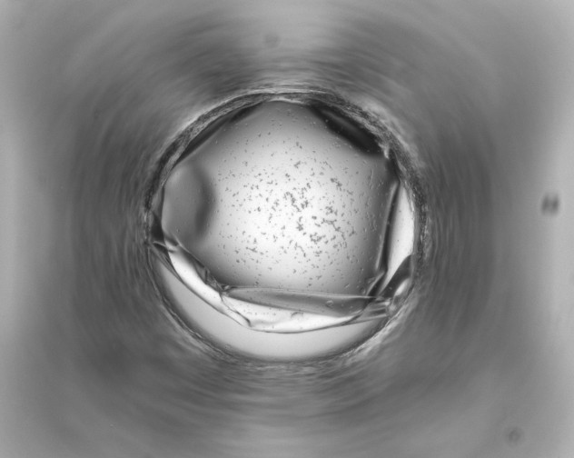 X0000093571449200711121026