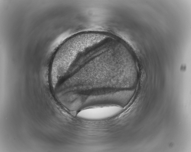 X0000093571455200711121026