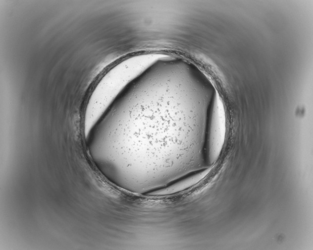 X0000093571457200711121026