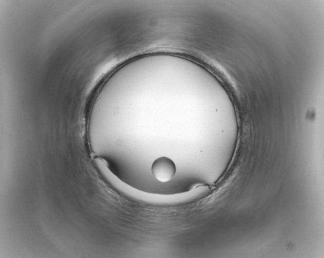 X0000093571461200711121026