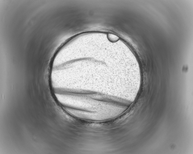 X0000093571463200711121026