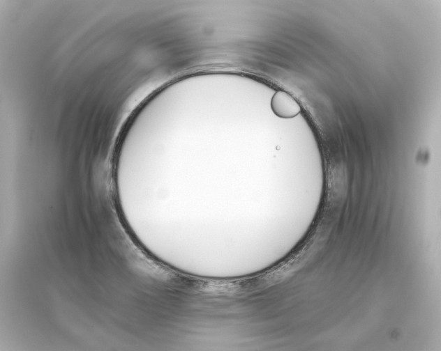 X0000093571466200711121026