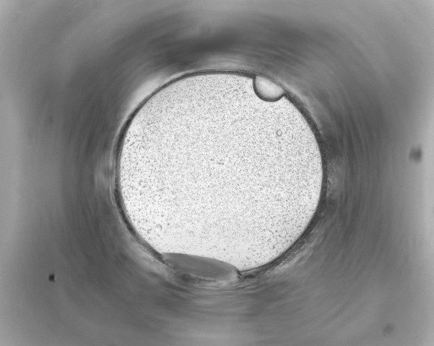 X0000093571467200711121026