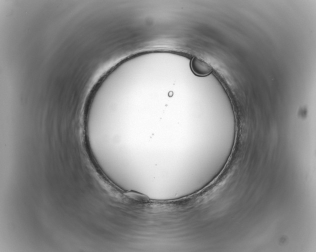 X0000093571469200711121026