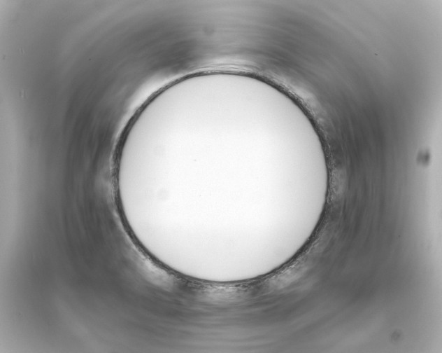 X0000093571470200711121026