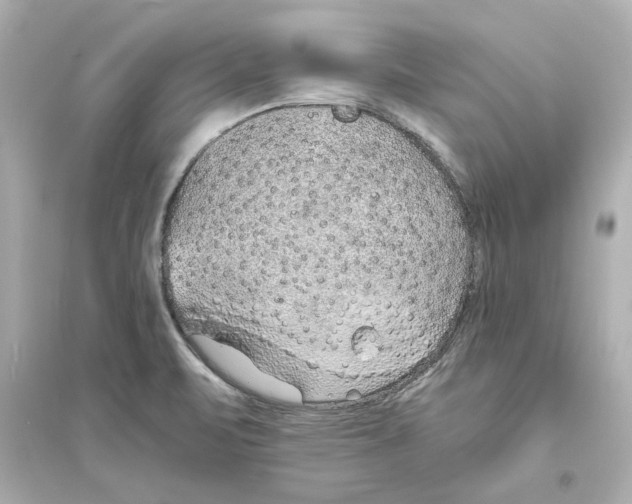 X0000093571471200711121026