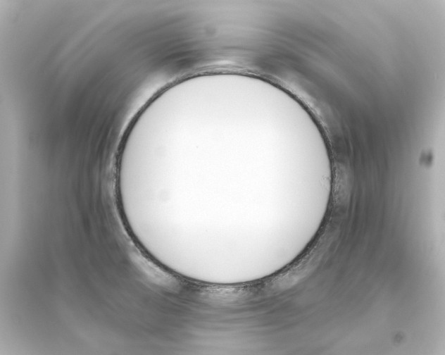 X0000093571474200711121026
