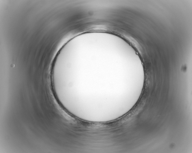 X0000093571475200711121026